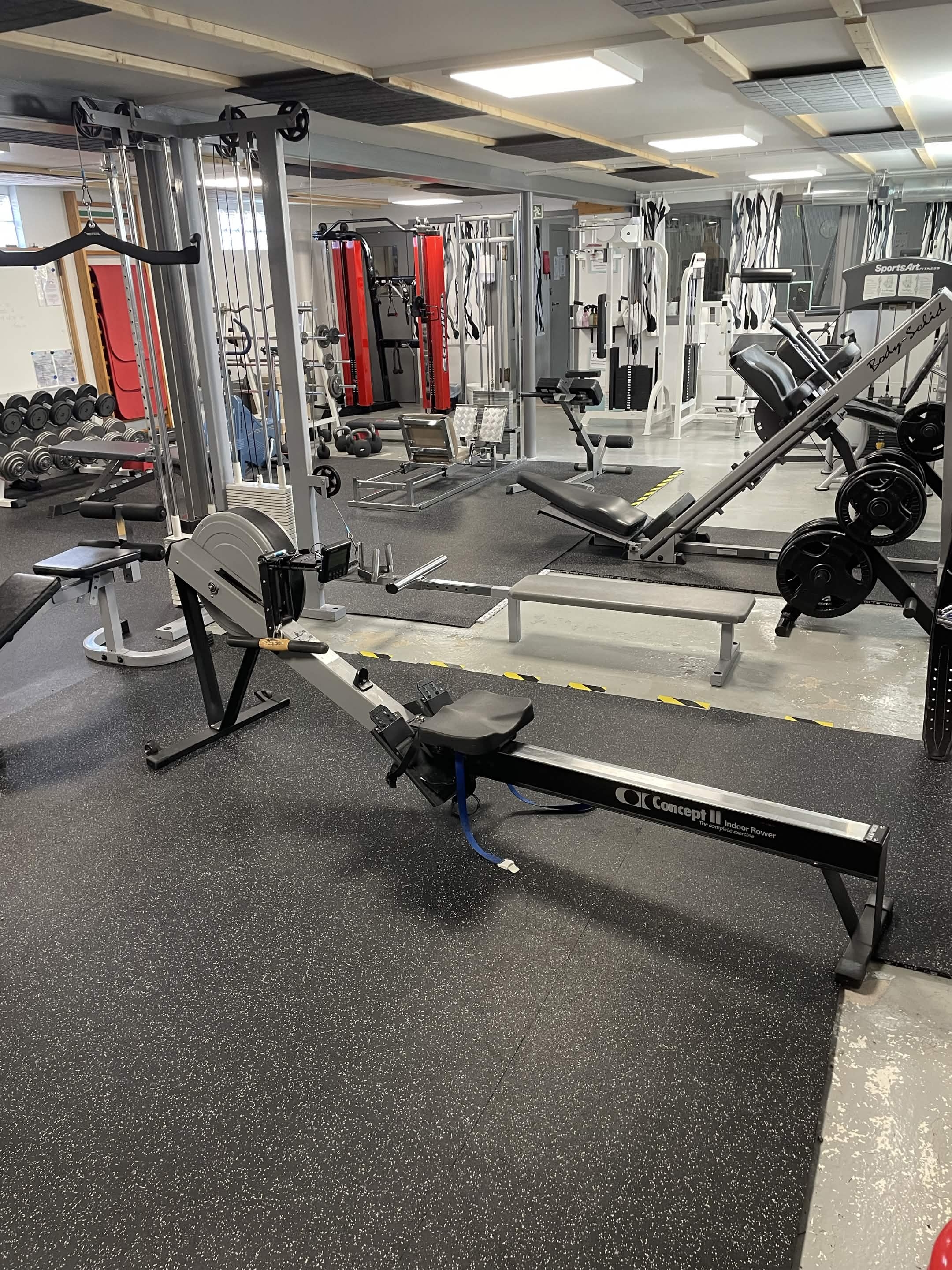 Översikt över gymmets maskiner, fria vikter och roddmaskin